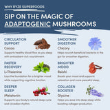 Mushroom Hot Cocoa cjttfd