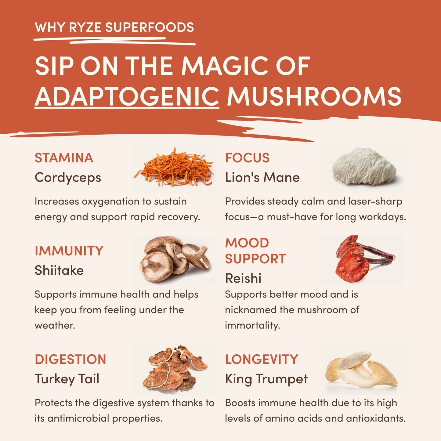 Superfood Creamer gnyrqh