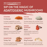 Mushroom Chai n2zxtu