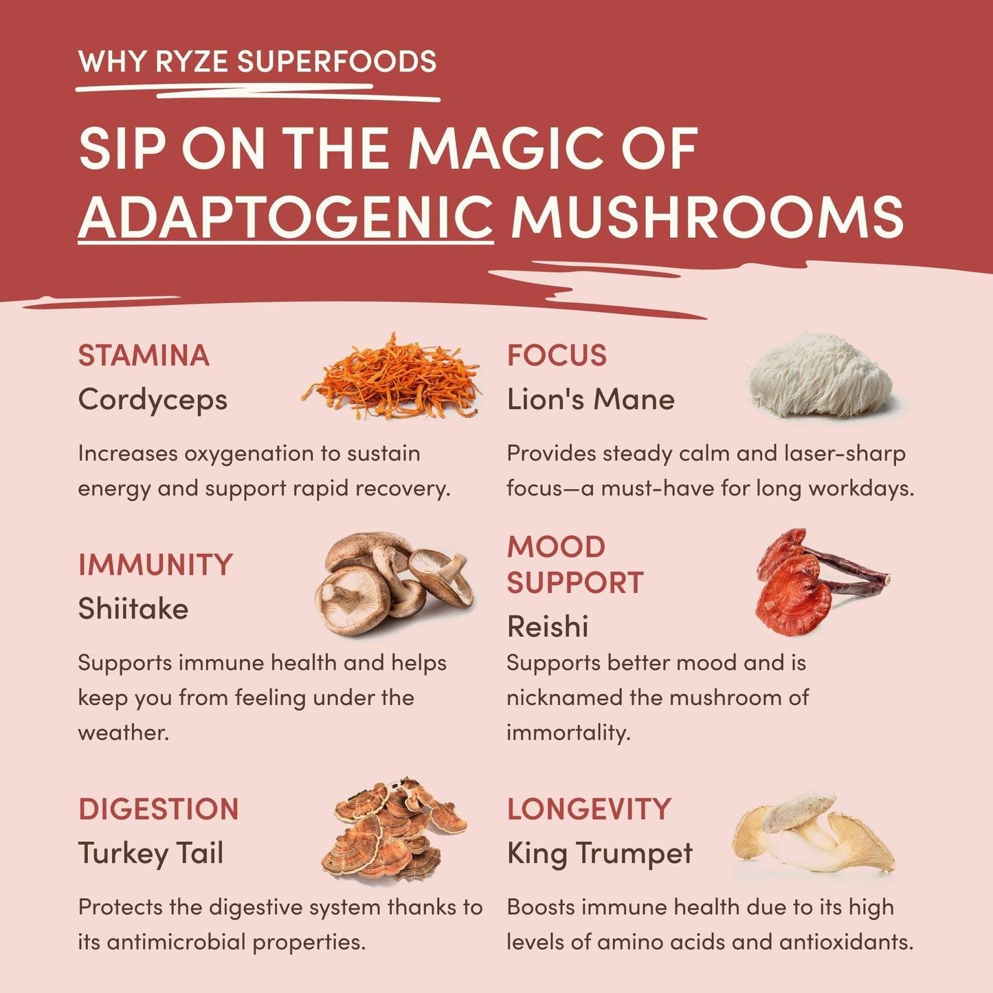 Mushroom Chai n2zxtu
