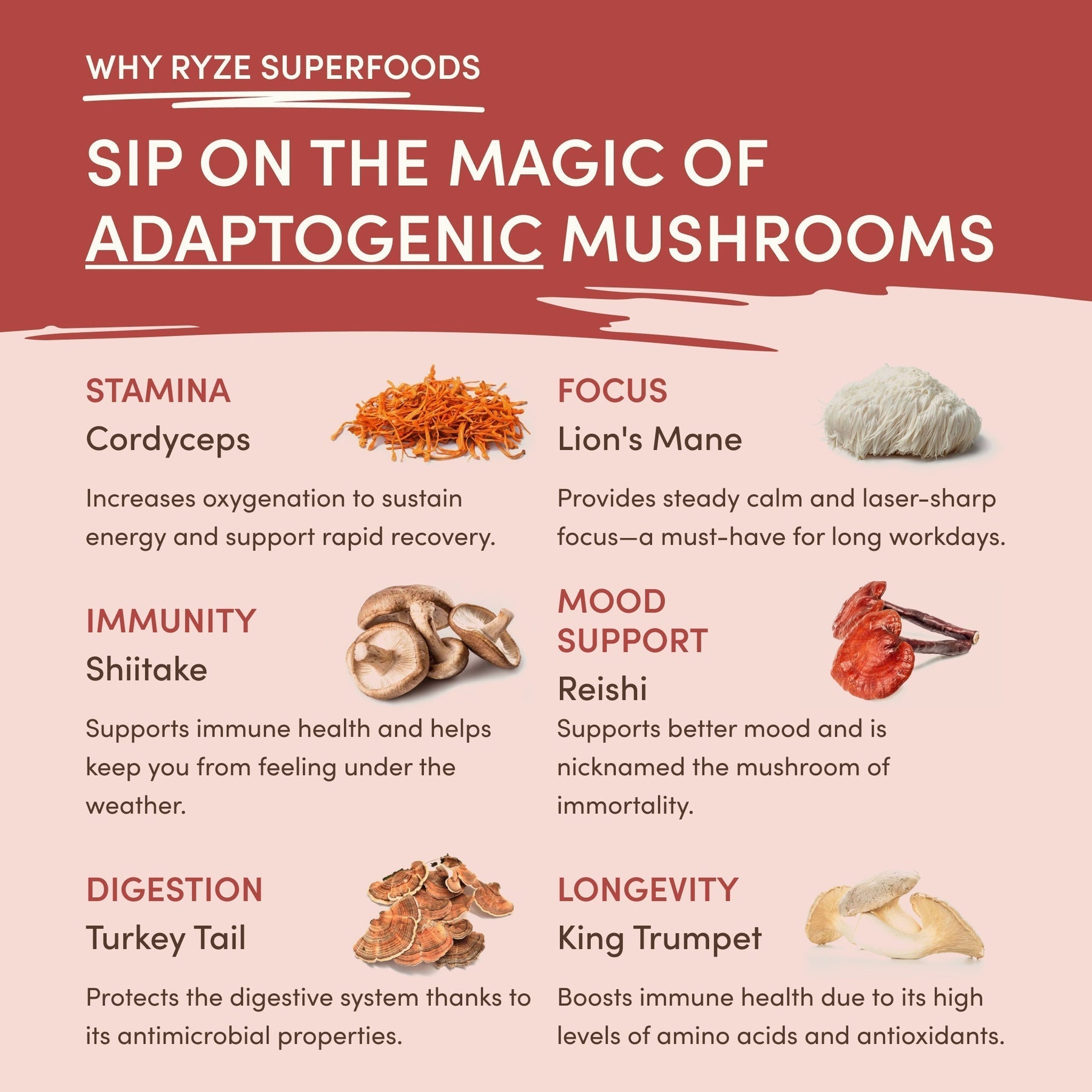 Mushroom Chai n2zxtu